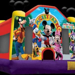 Mickey Park Bounce rental in New York