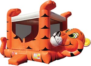Tiger Belly rental in New York