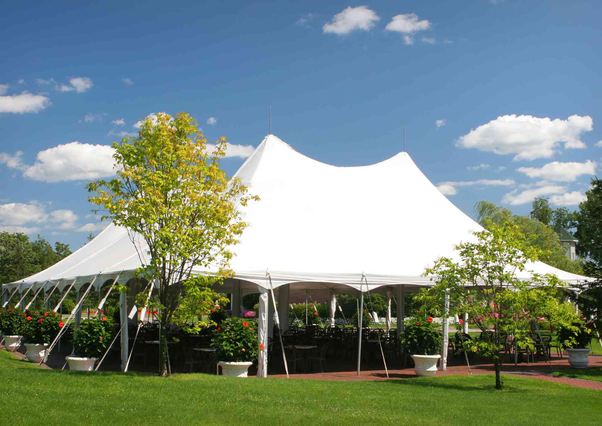 Tent Rentals rentals in New York